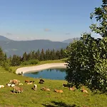 Апартаменты Mountain Bloom Golte Мозирье