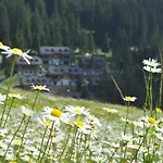 Mountain Bloom Golte *