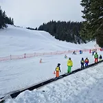 Mountain Bloom Golte