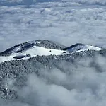 Апартаменты Mountain Bloom Golte *