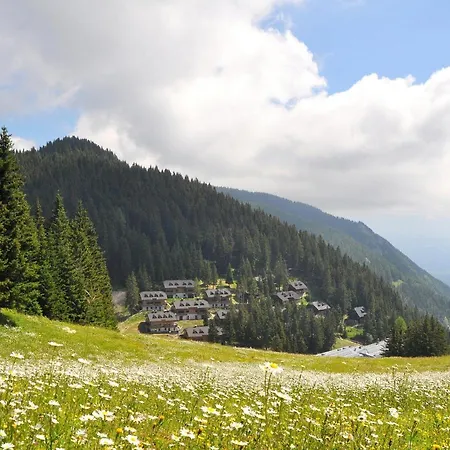 Mountain Bloom Golte *