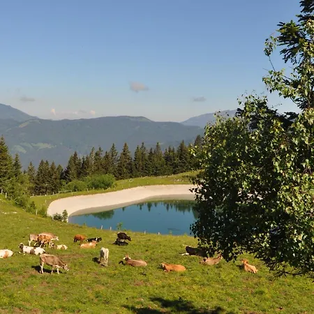 Apartman Mountain Bloom Golte Mozirje