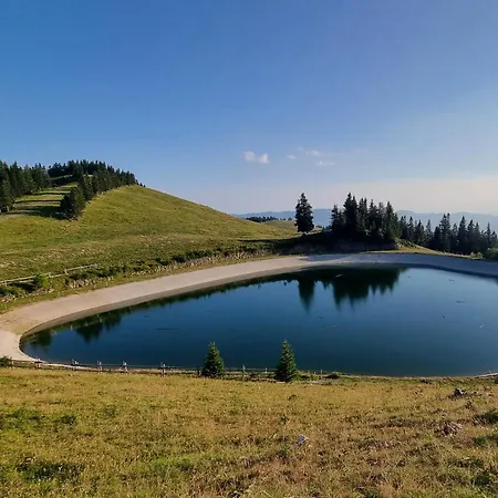 Mountain Bloom Golte * Mozirje
