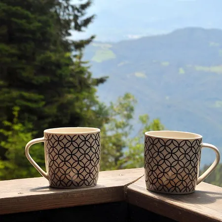 Mountain Bloom Golte Apartment