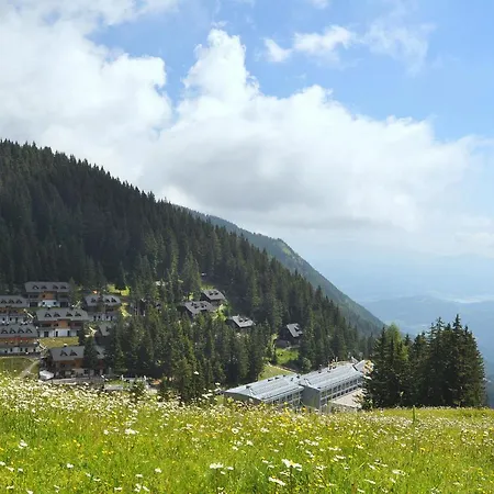 Apartment Mountain Bloom Golte Mozirje