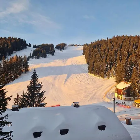 Mountain Bloom Golte Mozirje