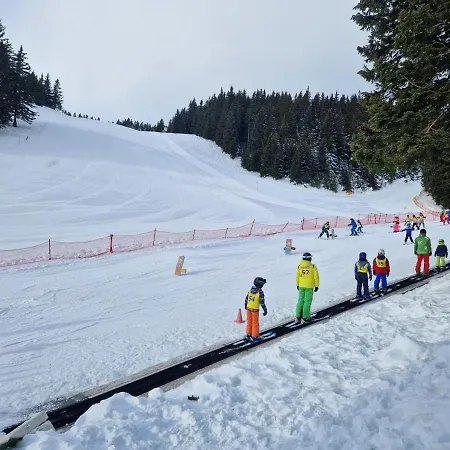 Mountain Bloom Golte