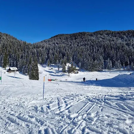 Апартаменты Mountain Bloom Golte