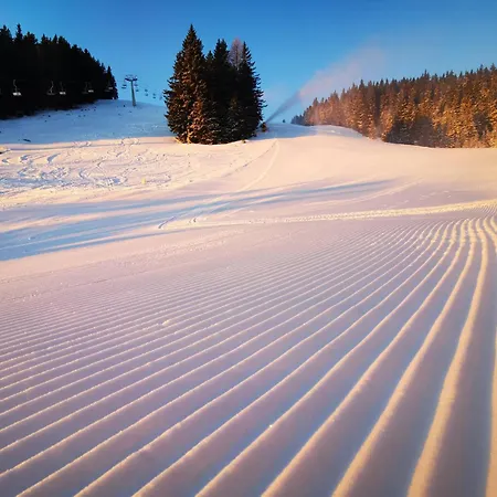 Appartement Mountain Bloom Golte