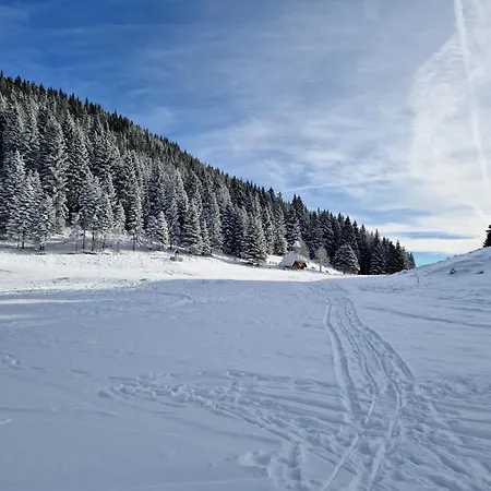 Mountain Bloom Golte Апартаменты *