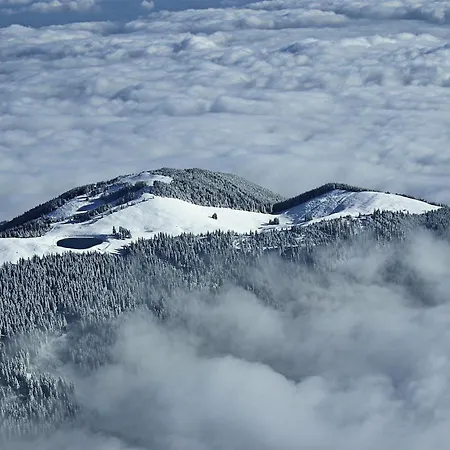 Appartement Mountain Bloom Golte *