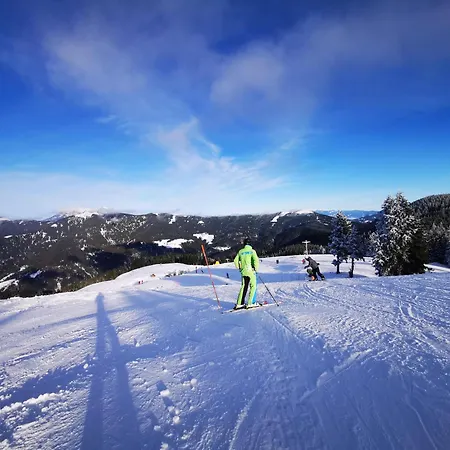 Mountain Bloom Golte Mozirje