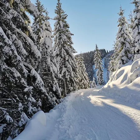 Mountain Bloom Golte