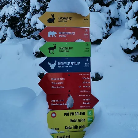 Mountain Bloom Golte