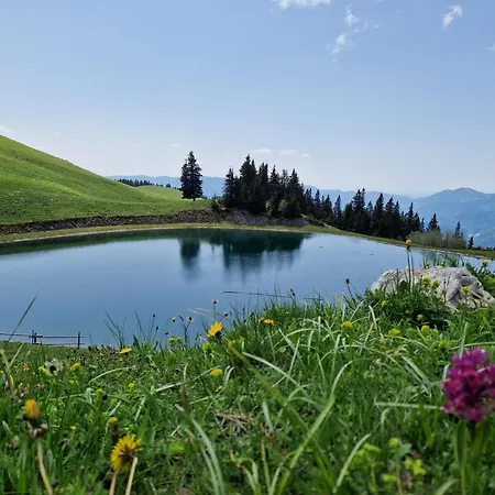 Apartamento Mountain Bloom Golte