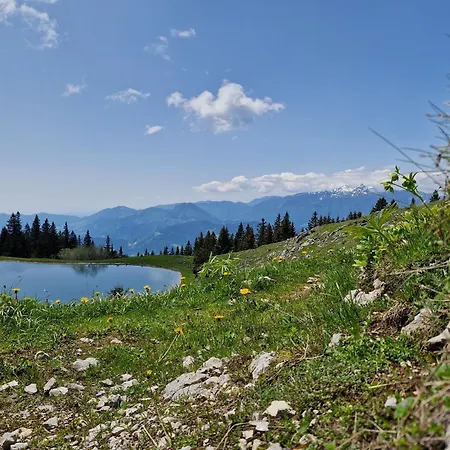 Mountain Bloom Golte Daire Mozirje