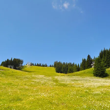 Mountain Bloom Golte