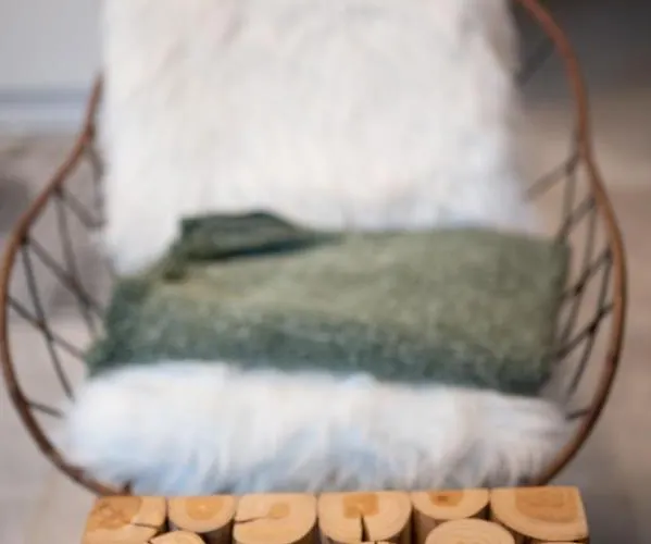 Mountain Bloom Golte Appartamento Mozirje