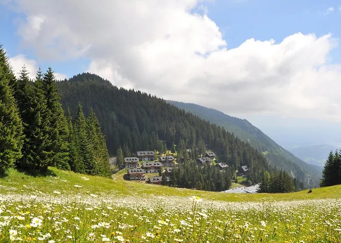 Mountain Bloom Golte *