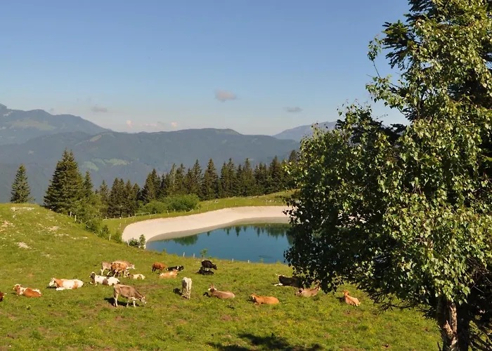 Appartamento Mountain Bloom Golte Mozirje