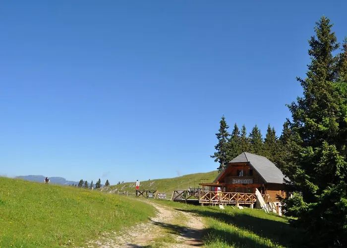 Appartamento Mountain Bloom Golte *