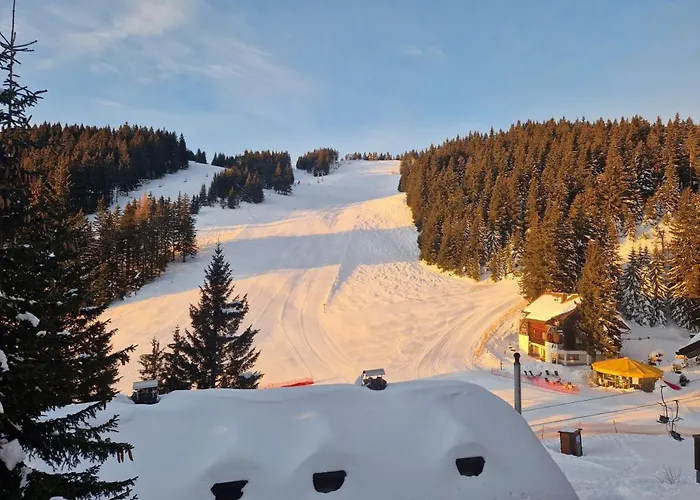 Mountain Bloom Golte Mozirje