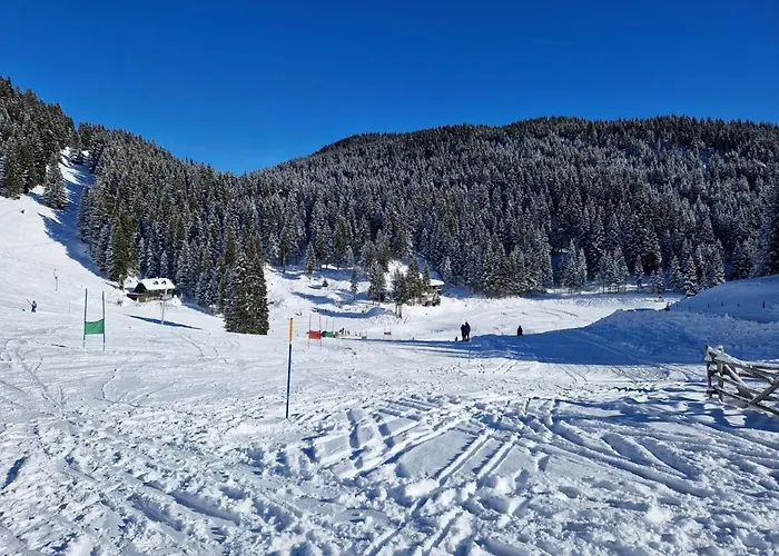 Appartamento Mountain Bloom Golte