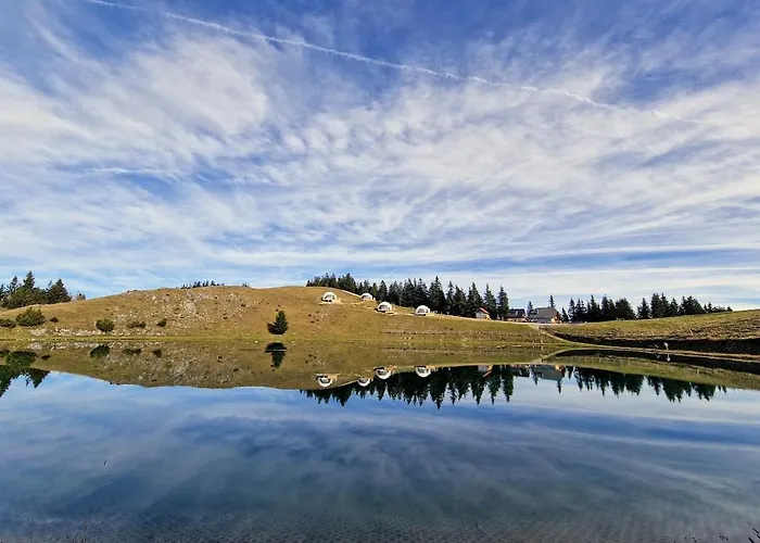 Appartamento Mountain Bloom Golte *