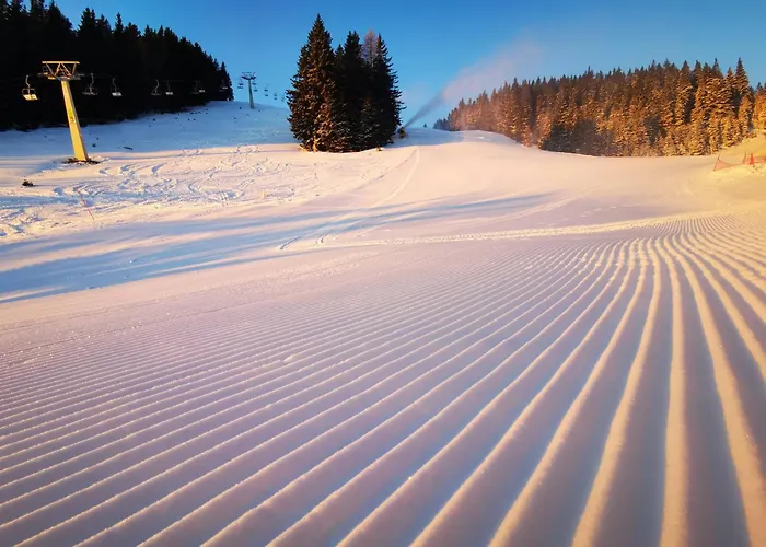 Appartamento Mountain Bloom Golte