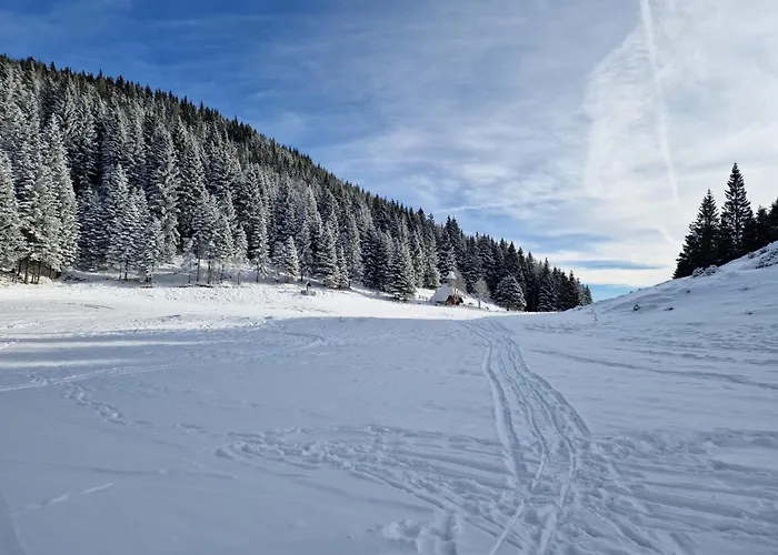 Mountain Bloom Golte Appartamento *