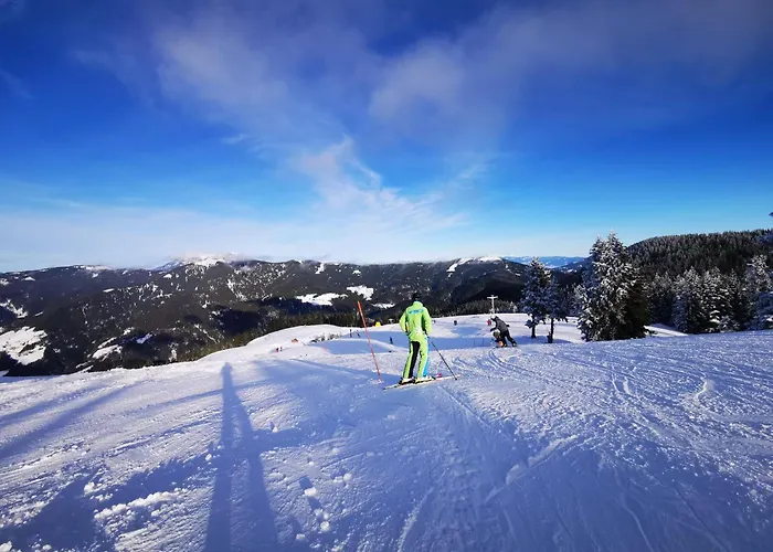 Mountain Bloom Golte Mozirje