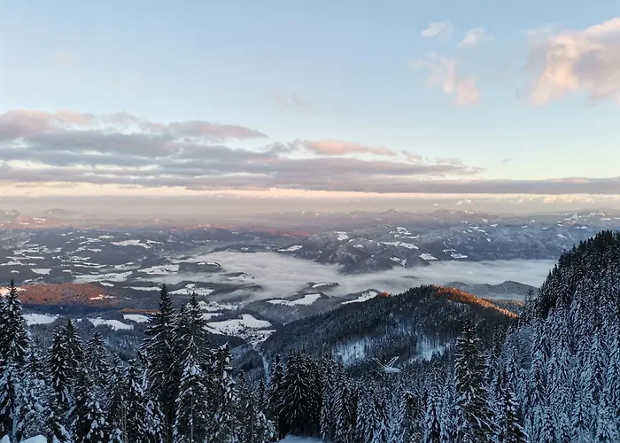 Mountain Bloom Golte Appartamento Mozirje