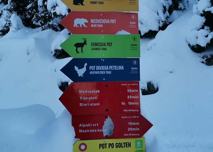 Mountain Bloom Golte