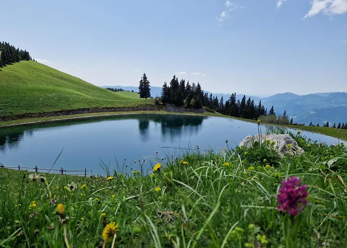 Appartamento Mountain Bloom Golte