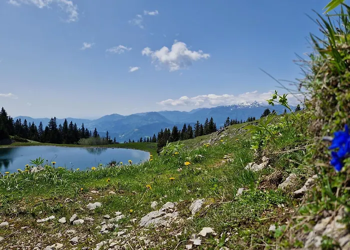 Mountain Bloom Golte Appartamento Mozirje