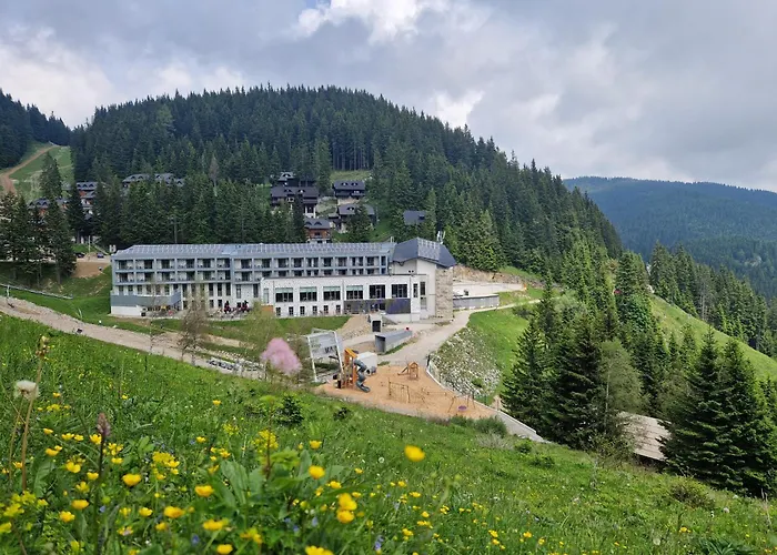 Mountain Bloom Golte * Mozirje